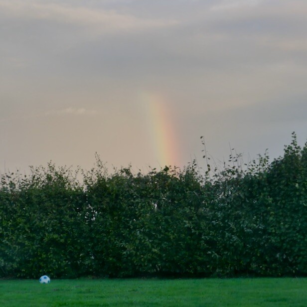 Library - 84 of 93.jpeg