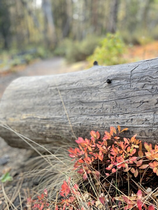 thumbs.web.sapo.io-4 - cópia.jpeg