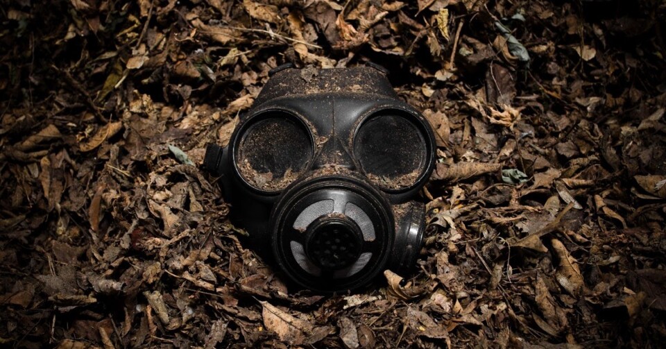 existe-distopia-na-realidade-tambem-ou-so-na-liter