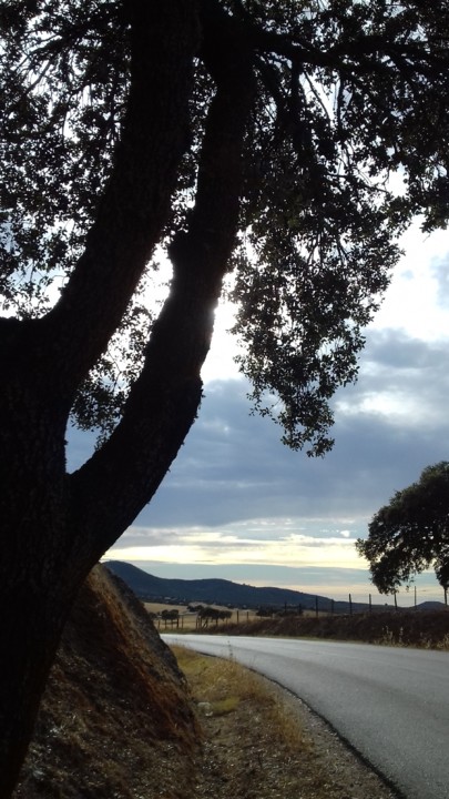 Estrada safara.moura.jpg