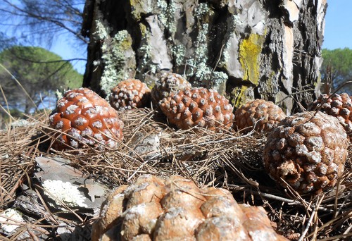 DSCN3403.JPG DSCN3403.JPG