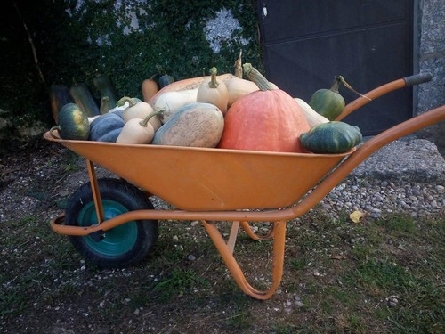 21766428_1456183927800587_7677731920184099287_n.jp