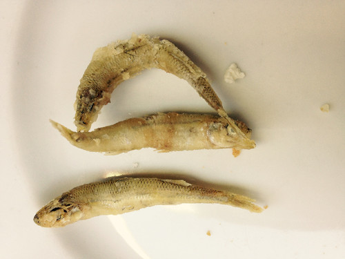 FullSizeRender-23.jpg FullSizeRender-23.jpg