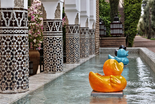 _MG_1483-1.jpg _MG_1483-1.jpg