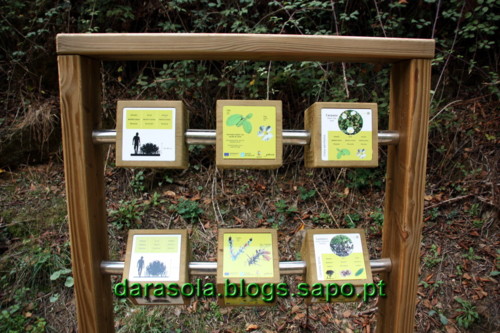 Passarelas_Rio_Mao_34.JPG Passarelas_Rio_Mao_34.JPG