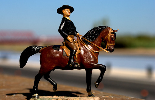 DSC_0312.jpg DSC_0312.jpg