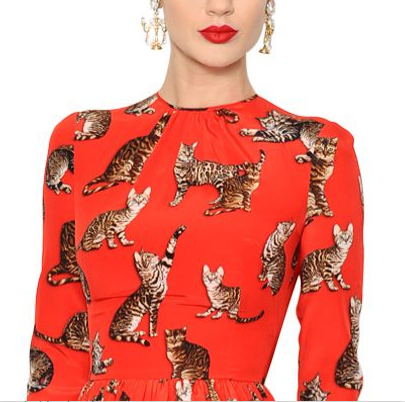 Sem Título.png 2.png