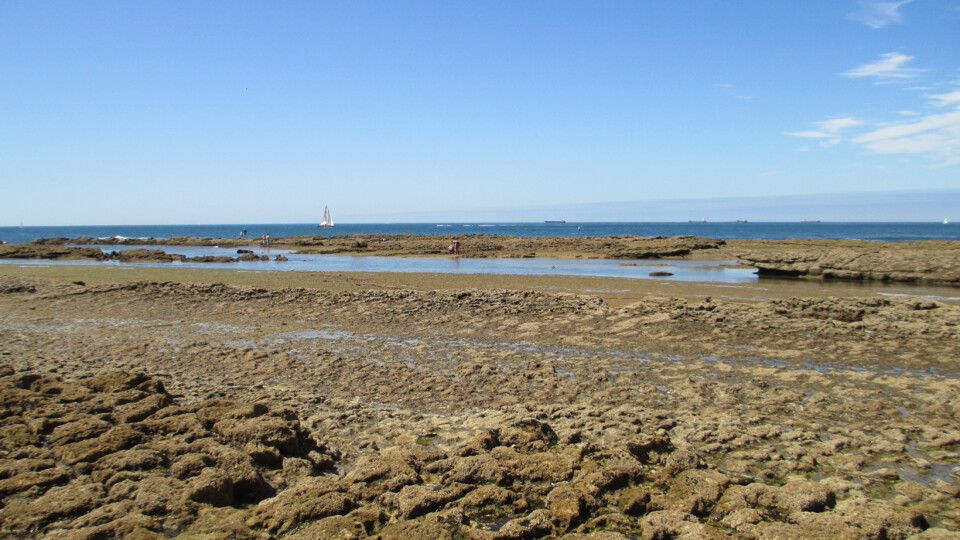 2020-08-09 11.26.01.jpg