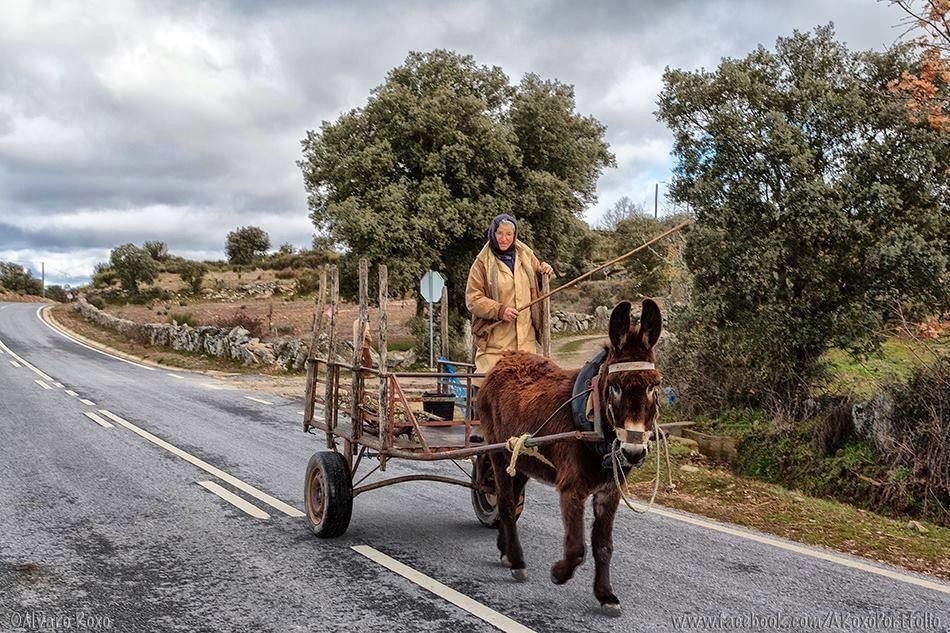 O burro e a carroça.JPG O burro e a carroça.JPG
