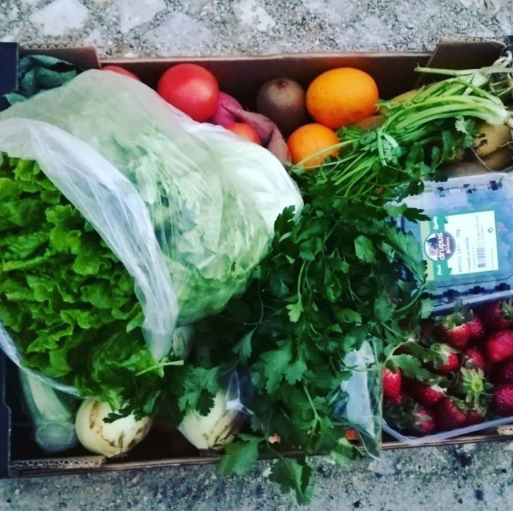 88316113_1634609126678842_2358102436104634368_o.jp 88316113_1634609126678842_2358102436104634368_o.jp