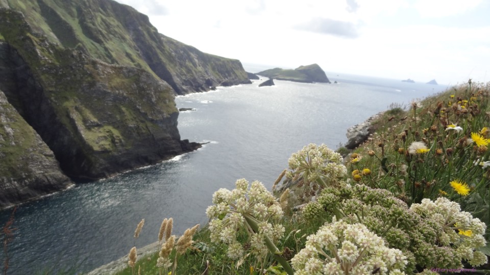 DSC07078.JPG DSC07078.JPG