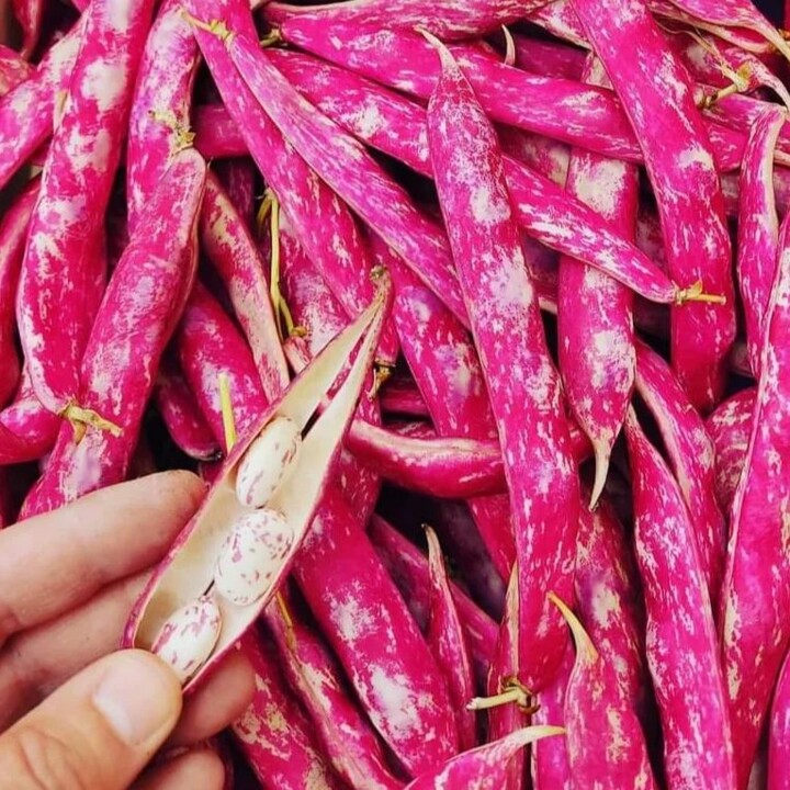 287655632_2333908893415525_6014997262756956668_n.j