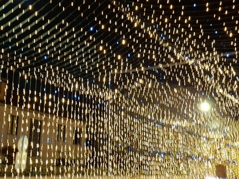 28b_Inauguração_Iluminações_de_Natal_OAz (48).