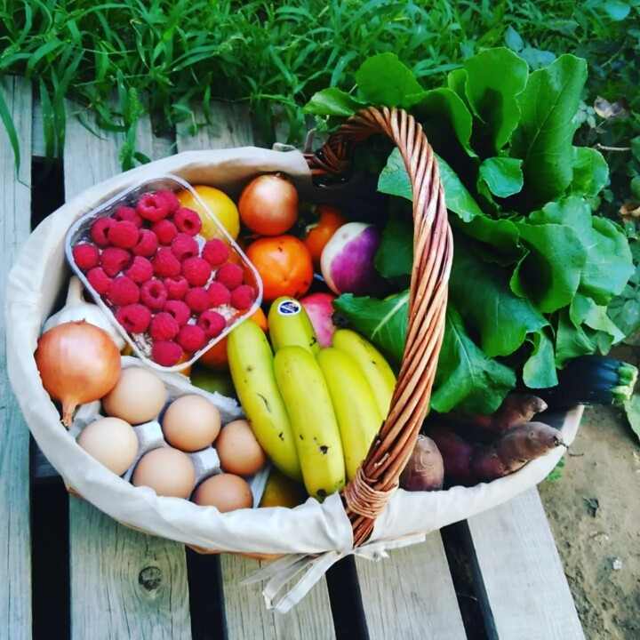 332473236_750018826852588_6171291021889248302_n.jp