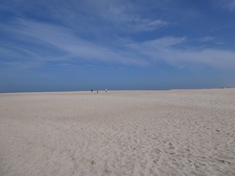 18a_Praia_de_Mira_Manhã (51).JPG