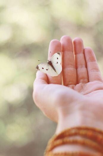 Fui ensinado a pedir desculpas, agradecer e não m