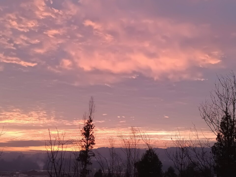 Não me canso disto outono1.jpg