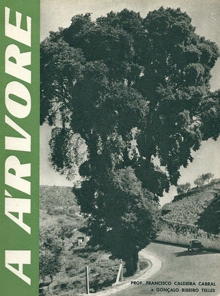 A Árvore em Portugal de Francisco Caldeira Cabral