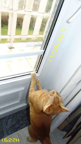 lá-fora-chove.JPG lá-fora-chove.JPG