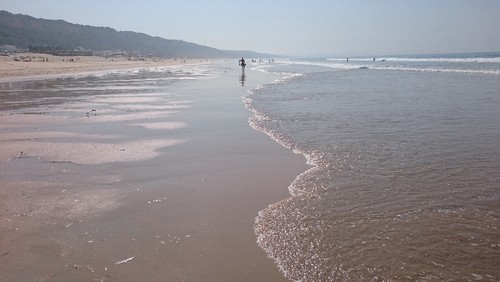 DSC_0511.JPG