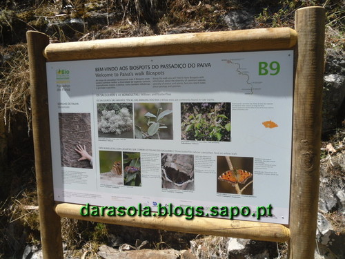 Passadicos_paiva_003.JPG Passadicos_paiva_003.JPG