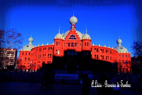 IMG_3362.JPG IMG_3362.JPG