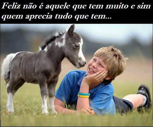 Felicidade