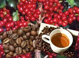 Café - In. jornalgospelnews.com.br. .jpg