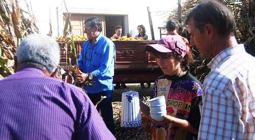 Padornelo Desfolhada 2014 e.jpg