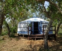 yurt.jpg