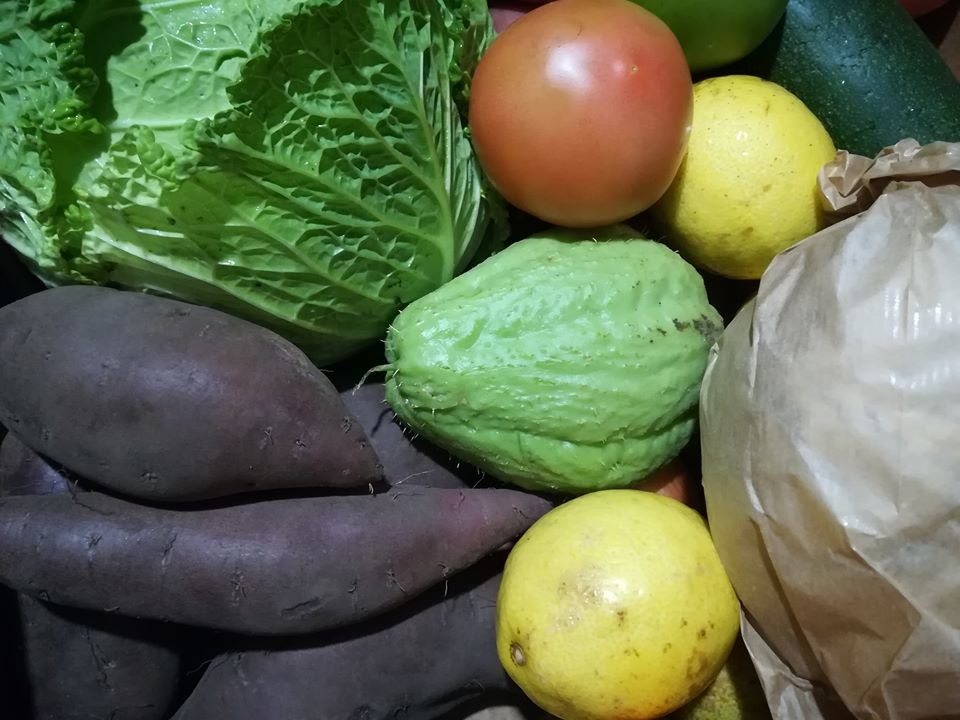 76954921_1518910138248742_7963510914638938112_o.jp