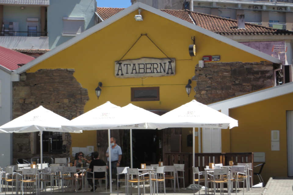 IMG_3006.JPG IMG_3006.JPG