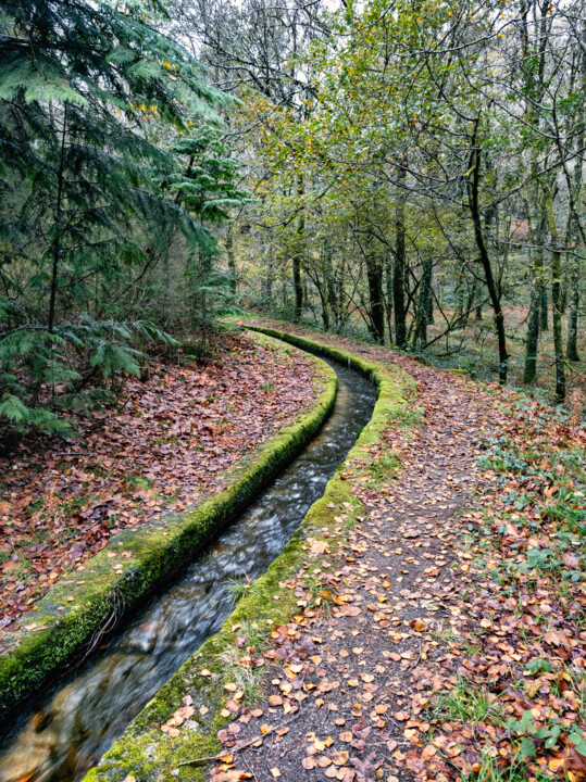 Carla trilho levada da Víbora nov 2024 07.jpg