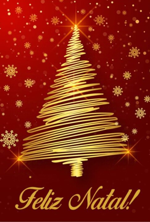 Imagem WhatsApp 2024-12-23 às 16.34.21_39d9a6a5.j