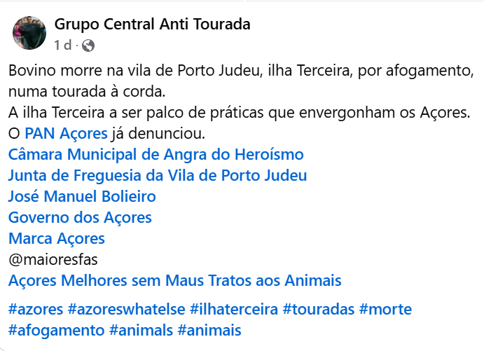 Touro morre afogado.PNG
