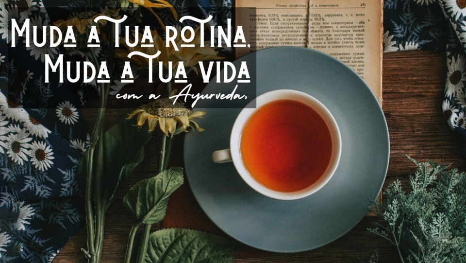 Cópia de Cópia de PTH.png Cópia de Cópia de PTH.png