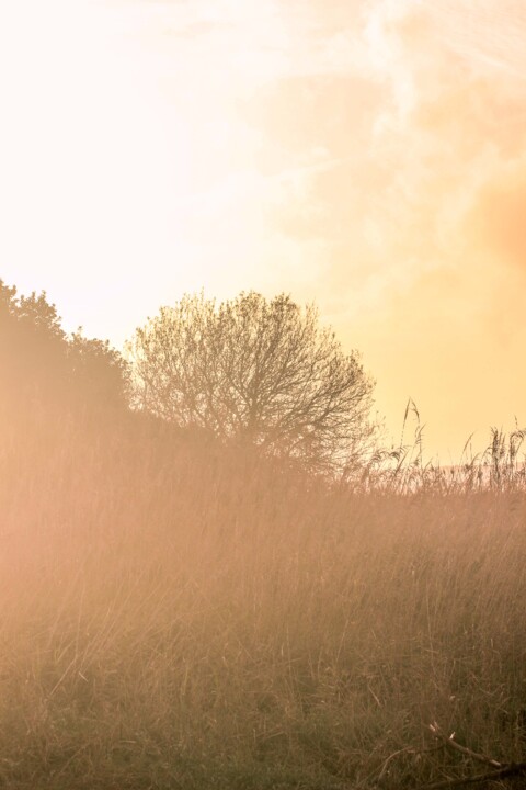 lagoa de obidos 6.jpg