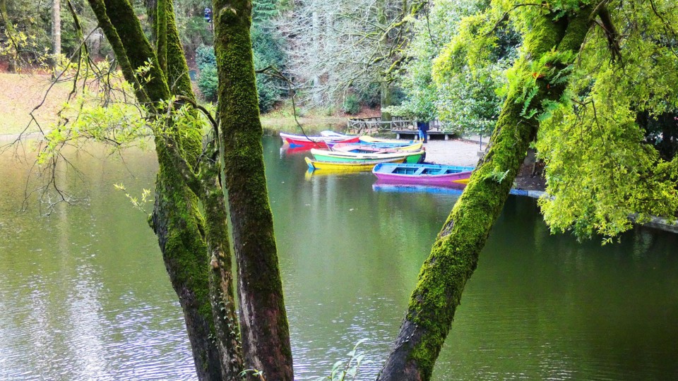 124171557_10218781125254319_3671053262479337127_o.