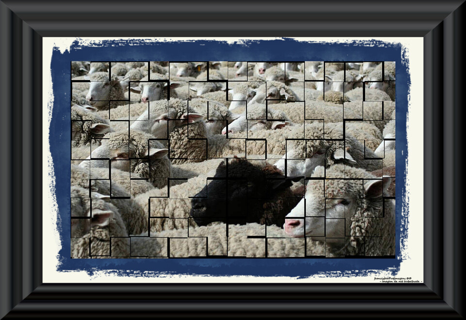 Simplesmente, singular!....jpg