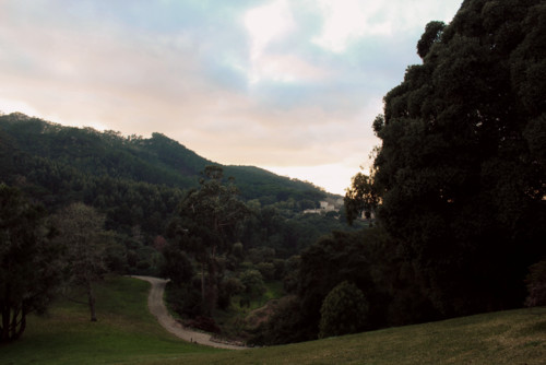 IMG_5632.jpg IMG_5632.jpg