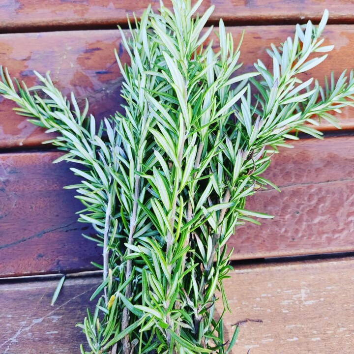 311355643_2438372952969118_8335276446699607971_n.j