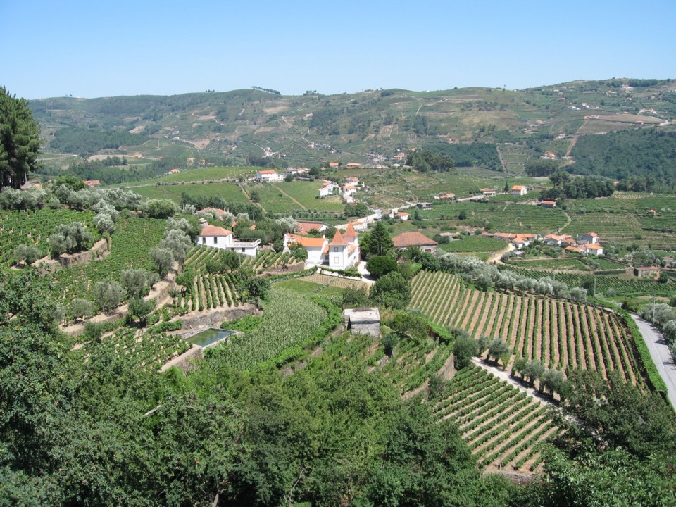 Copie de IMG_0548.JPG