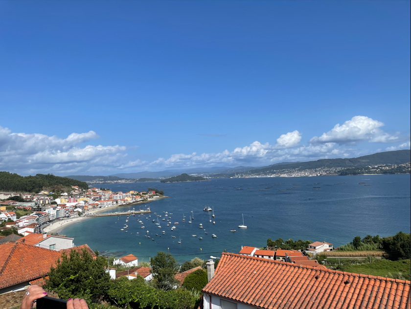 ria de pontevdra.PNG