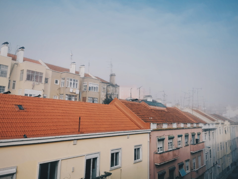 2020-01-28 04.38.18 1.jpg