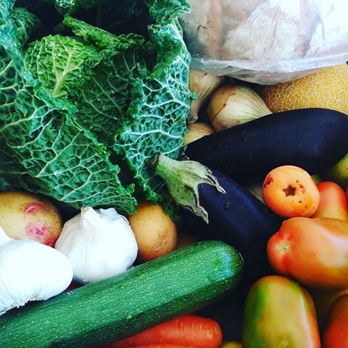 18091290_1336185206495982_1915491663816425472_n.jp