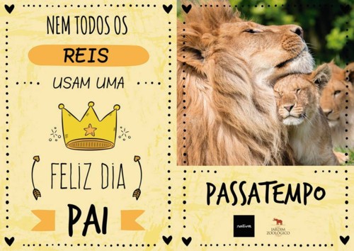 29101217_2066021293414002_1856126725592702694_n.jp