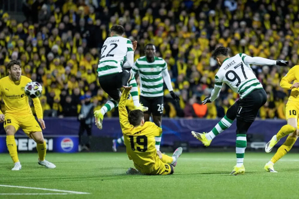 bodo glimt - sporting Suárez.webp