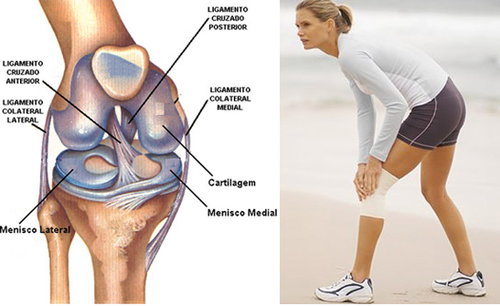 Sem Título.png Sem Título.png