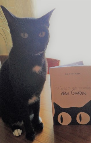 IMG_20170729_192934 (2).jpg IMG_20170729_192934 (2).jpg