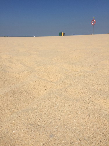 IMG_5808.JPG IMG_5808.JPG